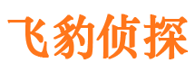 泾源寻人公司